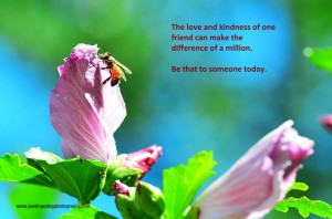love and kindness