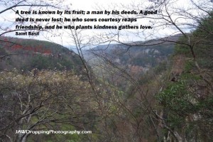 cloudcanyon jawdroppingphotography kindness gathers love