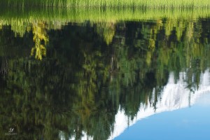 Mt-Hood-Reflection