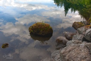 Reflections by Jack Maloney