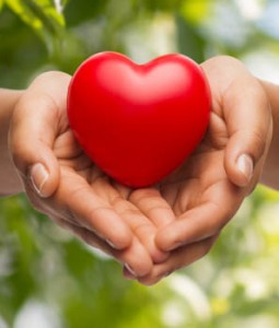 people, relationship and love concept - close up of womans cupped hands showing red heart