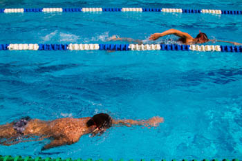 Swimming competition in the pool - Stock photos
